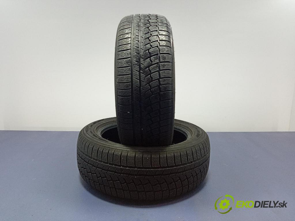 Renault Scenic 2009 pneumatiky: Zima 