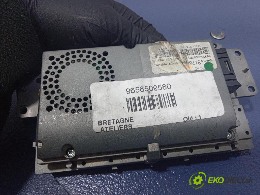 Peugeot 407 2004 Radio I Navigace: 96549138YW