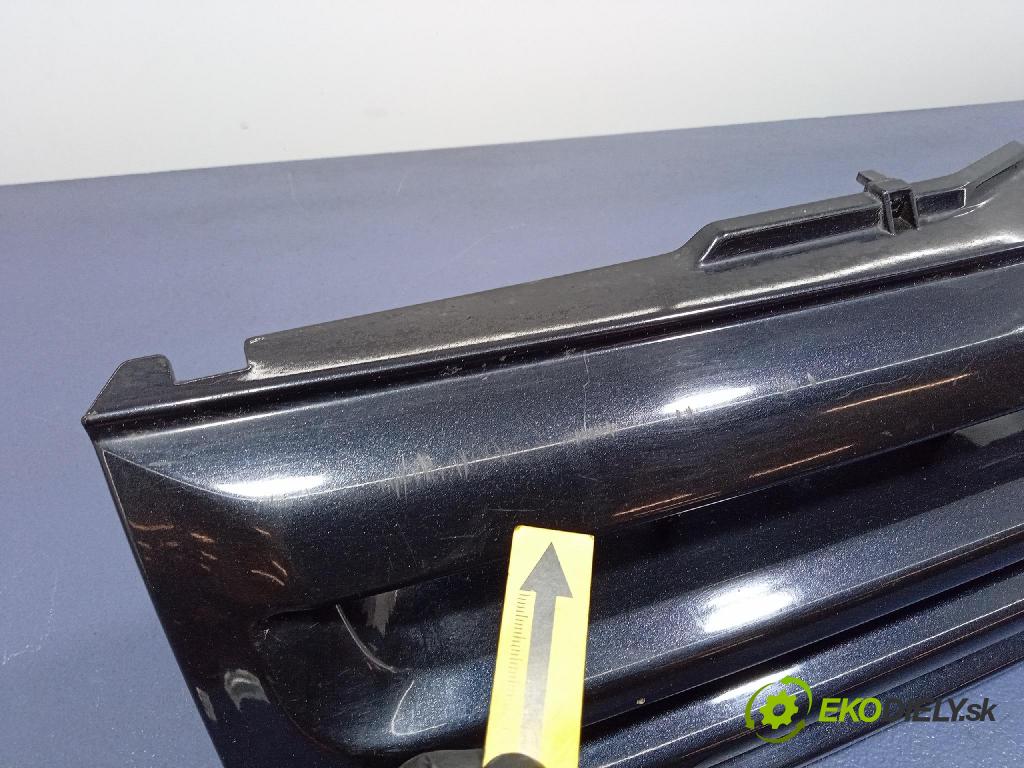 Mitsubishi Pajero 2003 miežka / Gril: MR339275