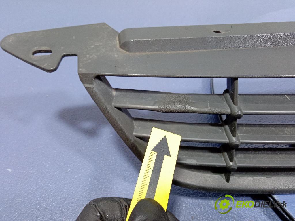 Ford Focus 2009 miežka / Gril: 8M51-8200-BE