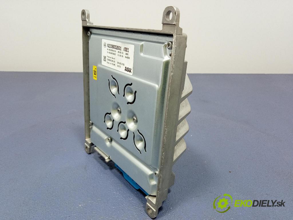 Mercedes S-Klasa 2022 Zesilovač: A2239002831