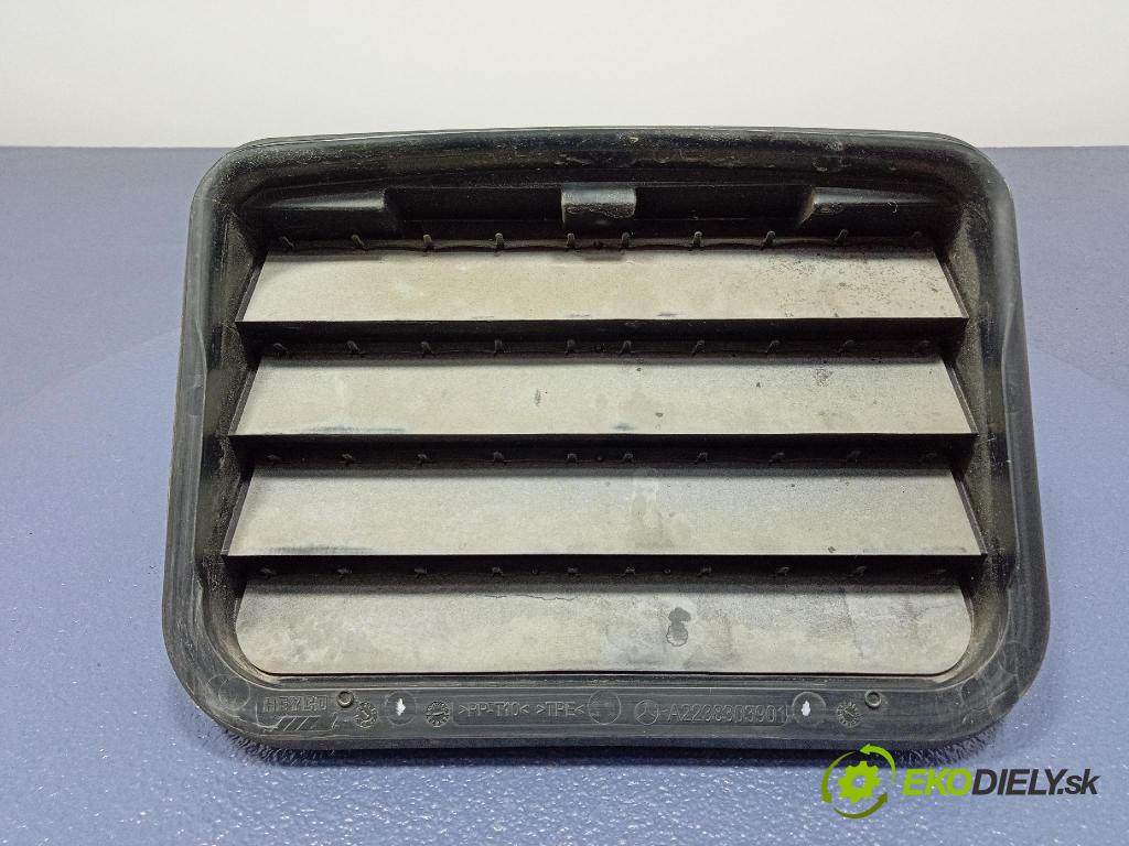 Mercedes S-Klasa 2022 Vstup: Vzduch: A2238303901