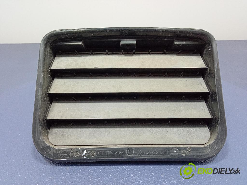 Mercedes S-Klasa 2022 Vstup: Vzduch: A2238303901