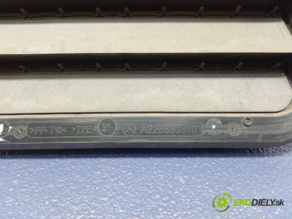 Mercedes S-Klasa 2022 Vstup: Vzduch: A2238303901