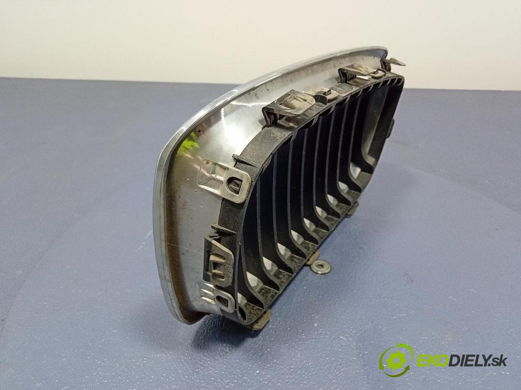 Bmw Seria 1 2014 miežka / Gril: 7239022