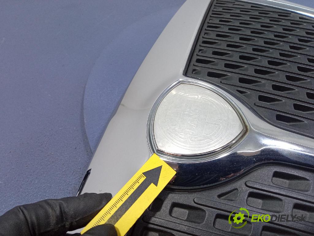 Lancia Ypsilon 2007 miežka / Gril: 735428201