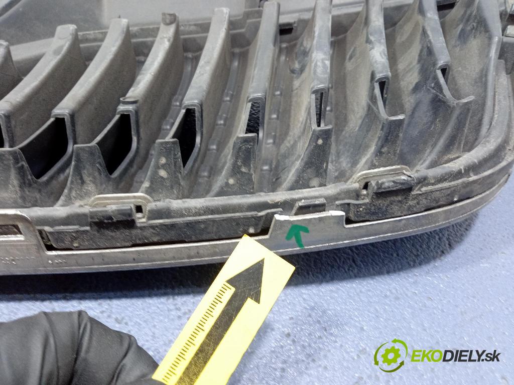 Skoda Fabia 2007 miežka / Gril: 5J0853668A