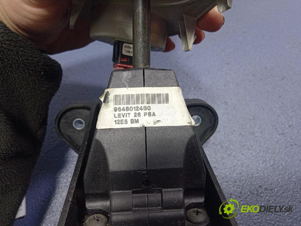 Peugeot 1007 2005 Páka: Zmeny: 9648012480