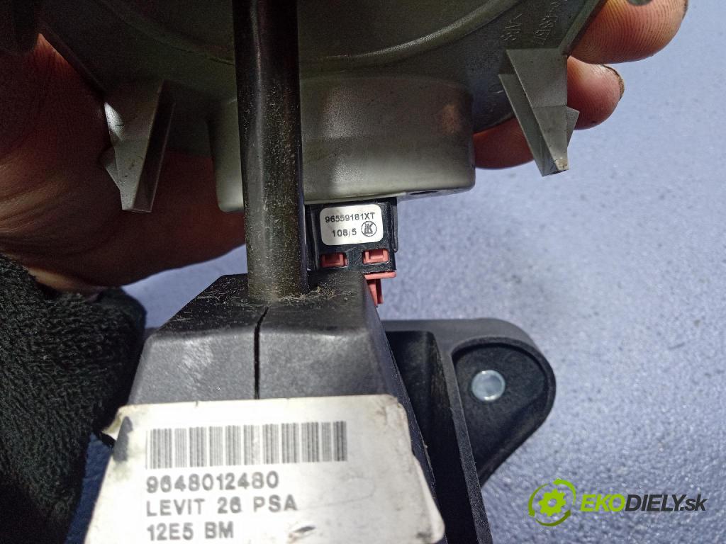 Peugeot 1007 2005 Páka: Zmeny: 9648012480