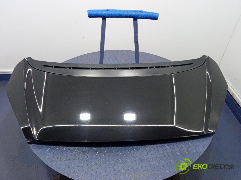 Peugeot 1007 2005 kapota přední: