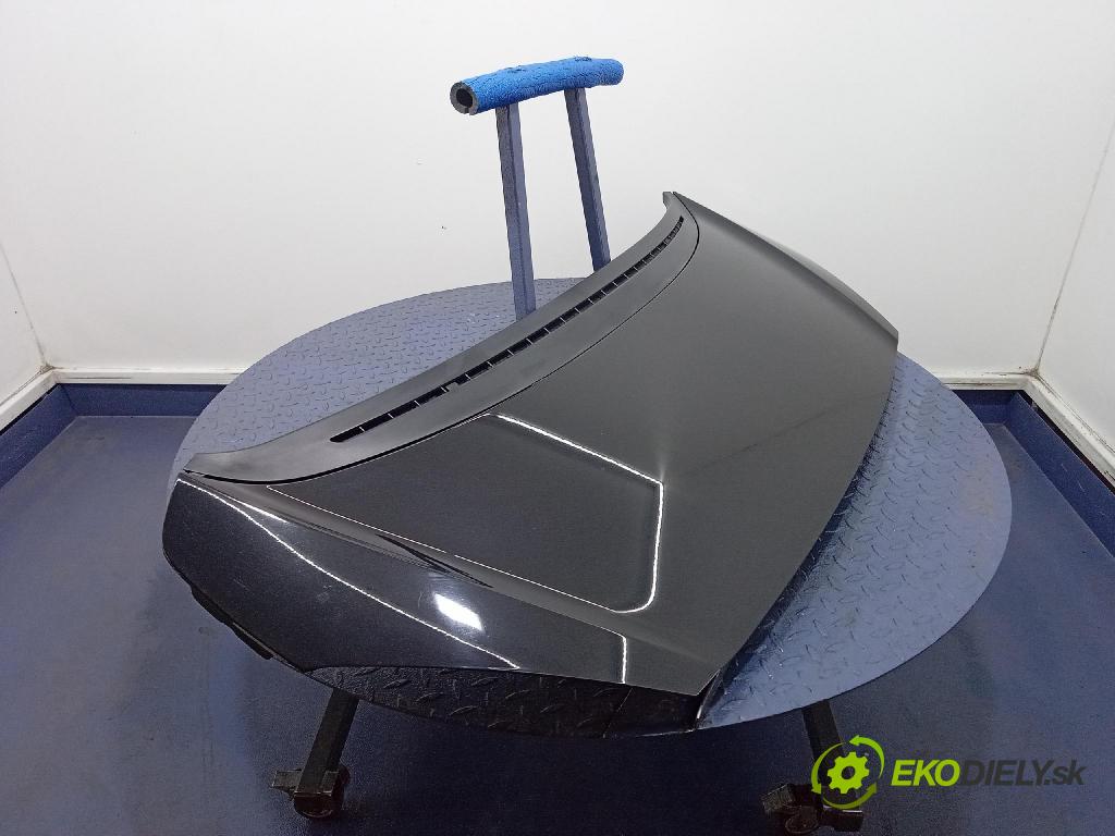 Peugeot 1007 2005 kapota přední: