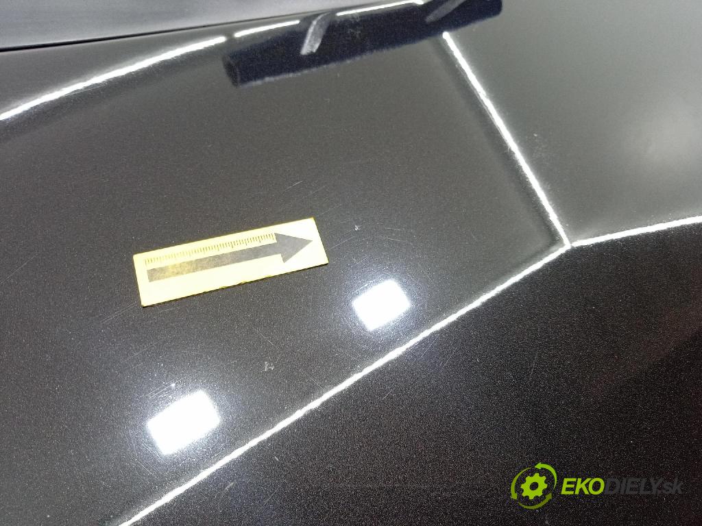 Peugeot 1007 2005 kapota přední: