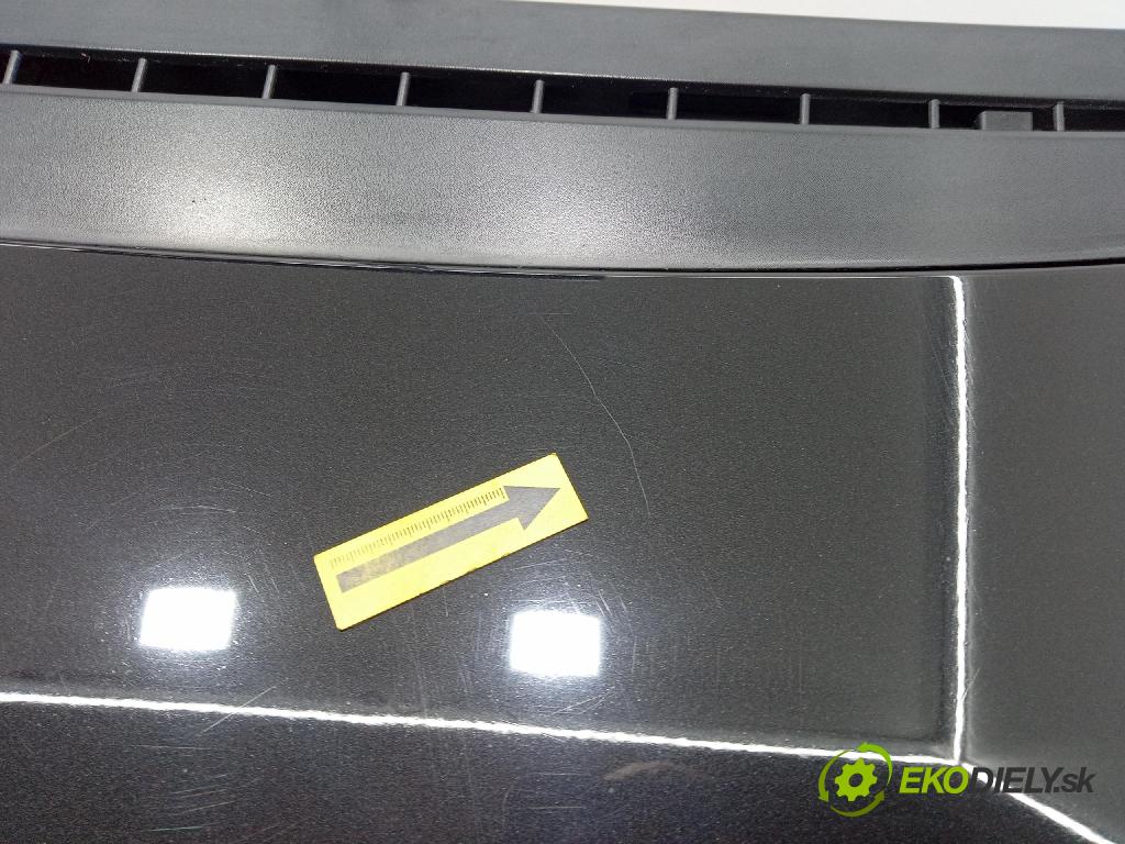 Peugeot 1007 2005 kapota přední: