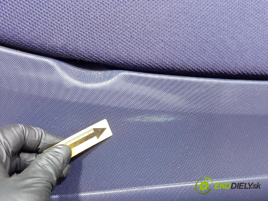 Peugeot 1007 2005 dvere Predné Vľavo: 