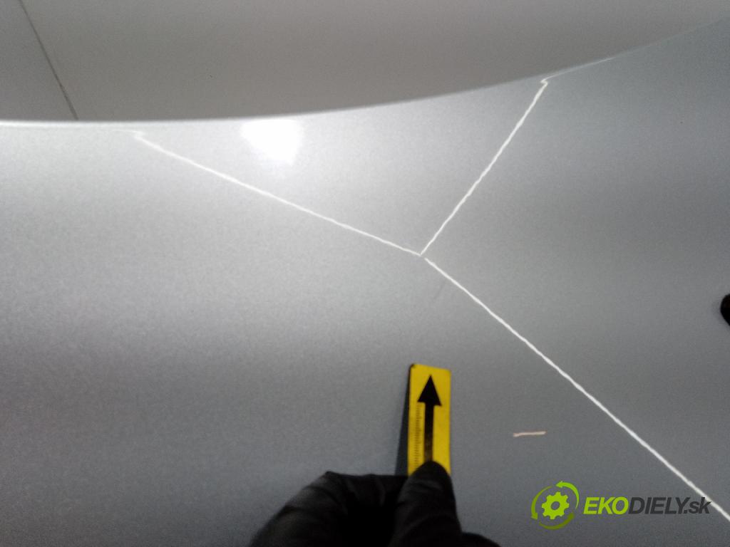 Chevrolet Aveo 2009 kapota přední: