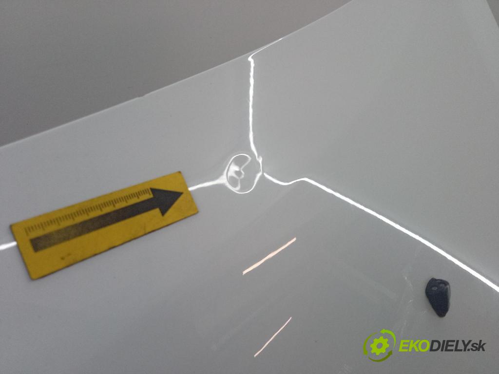 Chevrolet Aveo 2012 kapota přední: