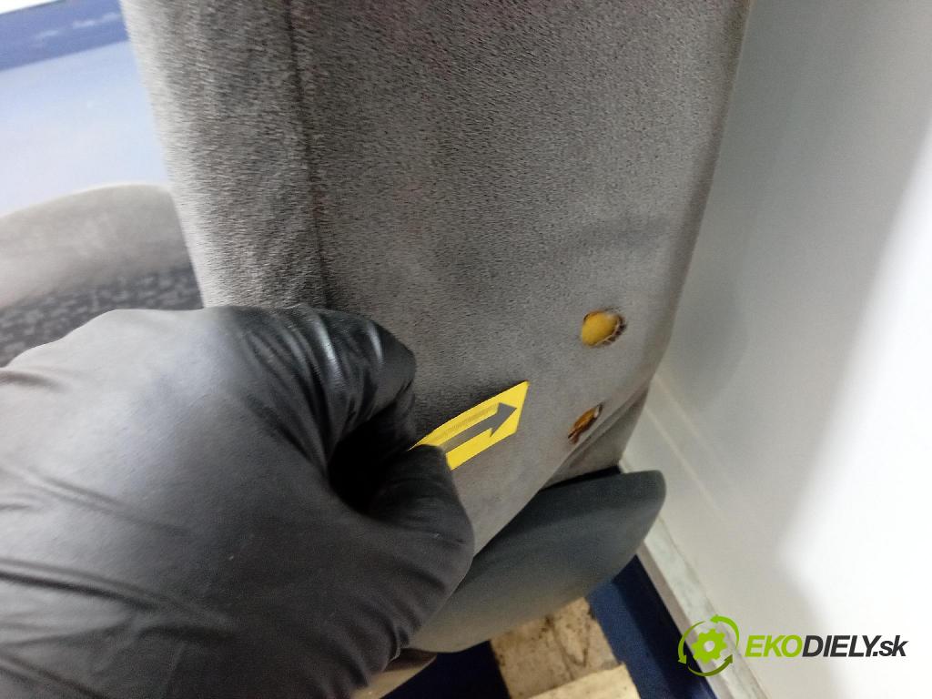 Daf LF45 2008 Sedačka spolujazdca 5010640568