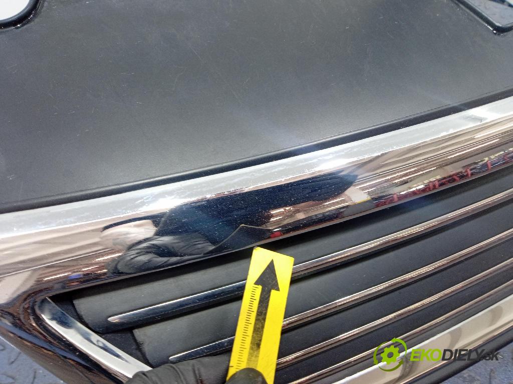 Vw Passat 2009 miežka / Gril: 3C0853651F