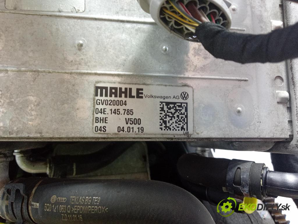 Vw Golf 2019 motor Benzín: DAD