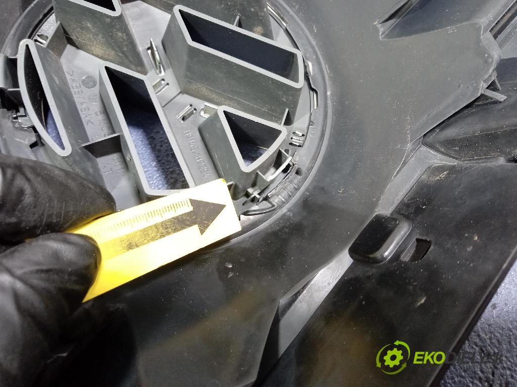 Vw Passat 2008 miežka / Gril: 3C0853651AF