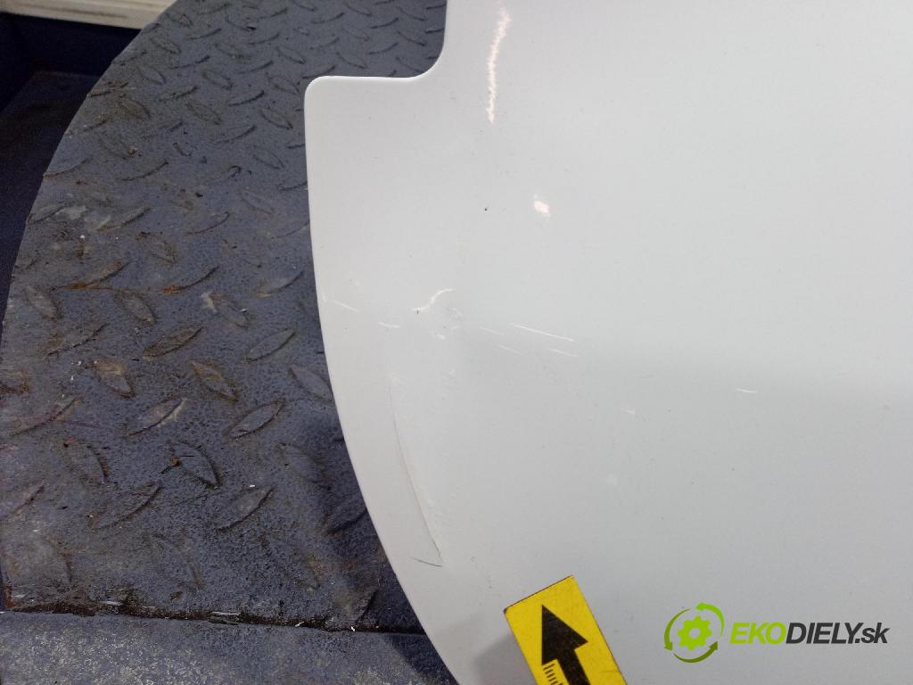 Ford Transit 0 dvere zad Vľavo: