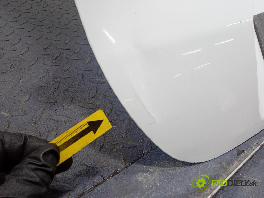 Ford Transit 0 dvere zad Vľavo: