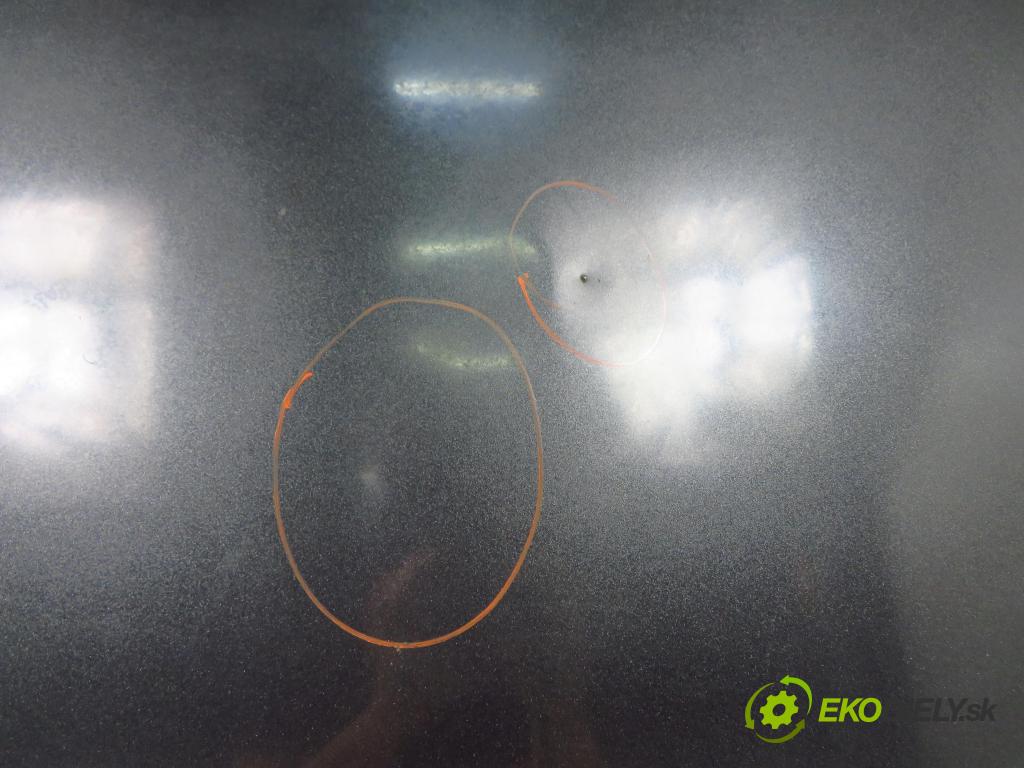 AUDI A8 D3 (4E2, 4E8) SEDAN 2003 202,00 4.0 TDI quattro - ASE 3936,00 kapota  (Kapoty)