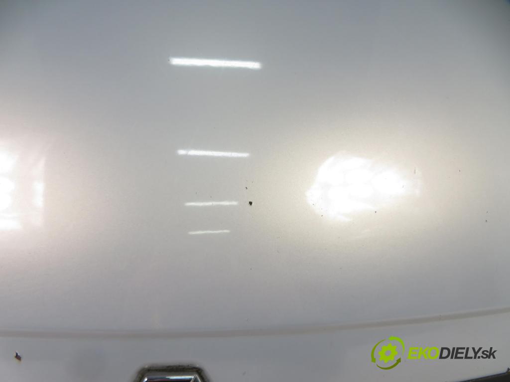 RENAULT SCENIC I (JA0/1_) CROSSOVER 2001 75,00 1.9 dCi RX4 102 - F9Q 740 1870,00 kapota RX4 (Kapoty)