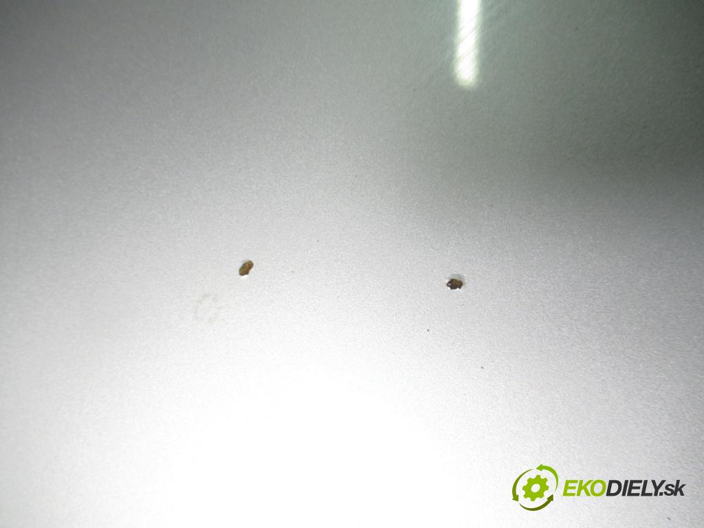 BMW 5 (E39) SEDAN 1996 110,00 520 i 150 - M52 B20 (206S3) 1991,00 kapota  (Kapota)