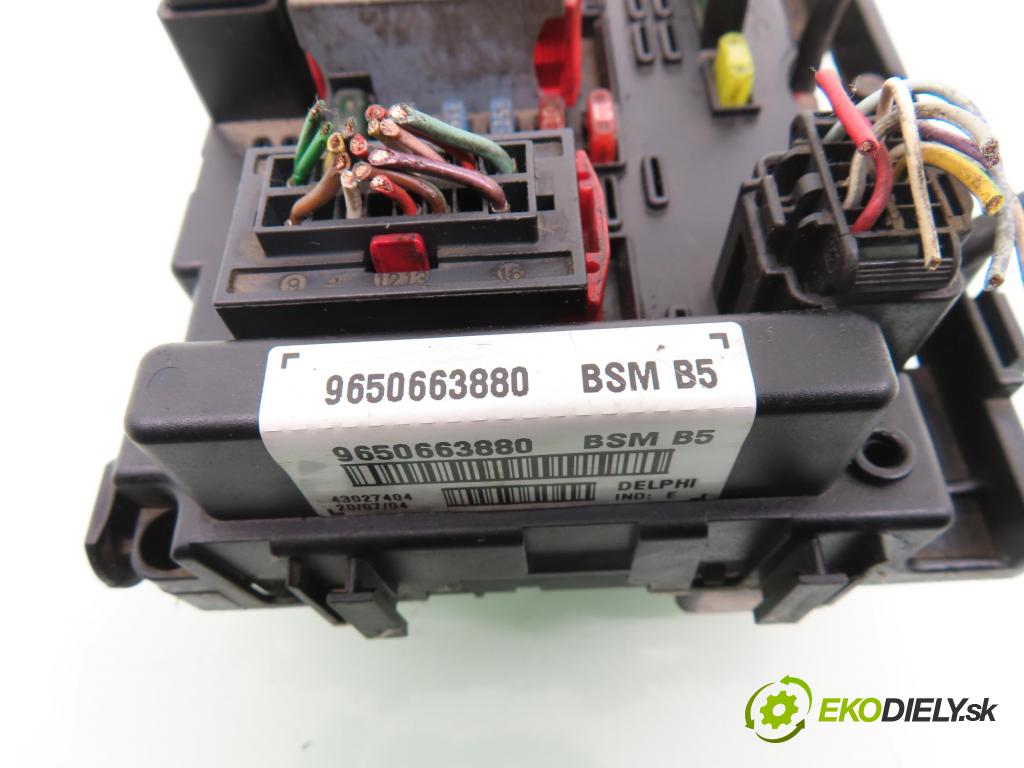 PEUGEOT 307 (3A/C) HB 2004 80,00 1.6 16V - NFU (TU5JP4) 1587,00 MODUL BSM 9650663880