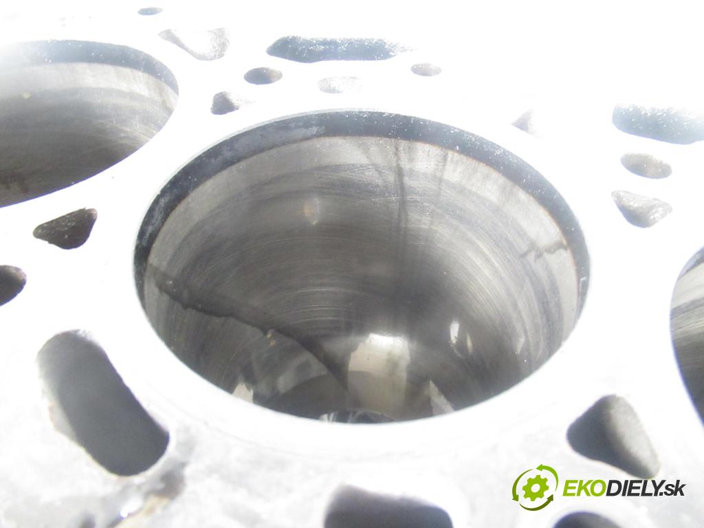 FIAT DUCATO Furgon (250_, 290_) FURGON 2007 74,00 100 Multijet 2.2 D - 4HV 2198,00 blok Motor 6C1Q6015 (Blok motora)