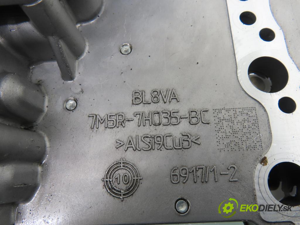 FORD MONDEO IV (BA7) řídící jednotka Automatická převodovky POWERSHIFT: kostka vložka KOLO: 14 pin