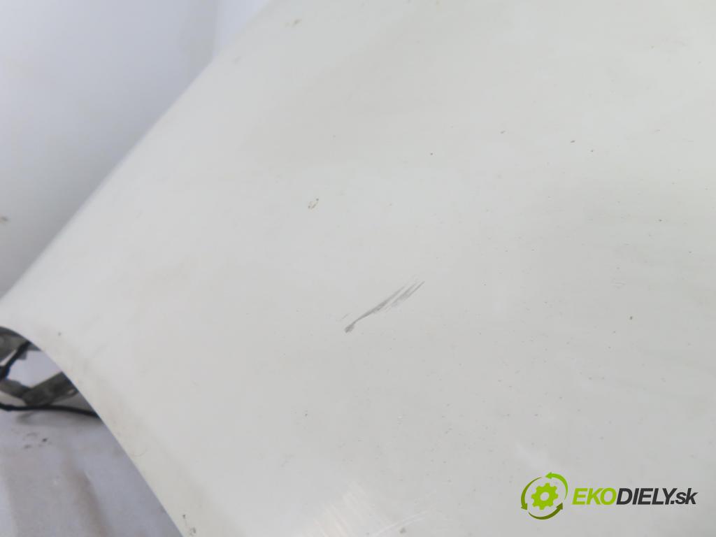 VW TRANSPORTER V Skrzynia (7HA, 7HH, 7EA, 7EH) FURGON 2007 75,00 1.9 TDI - BRS 1896,00 Kapota  (Kapota)