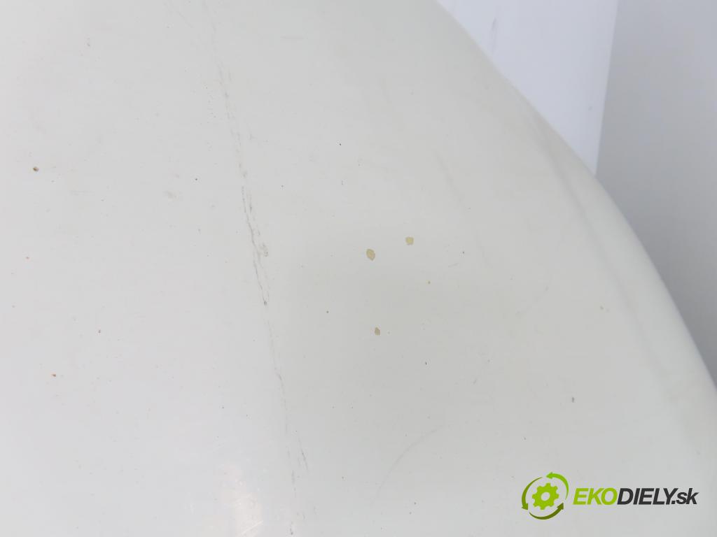 VW TRANSPORTER V Skrzynia (7HA, 7HH, 7EA, 7EH) FURGON 2007 75,00 1.9 TDI - BRS 1896,00 Kapota  (Kapota)