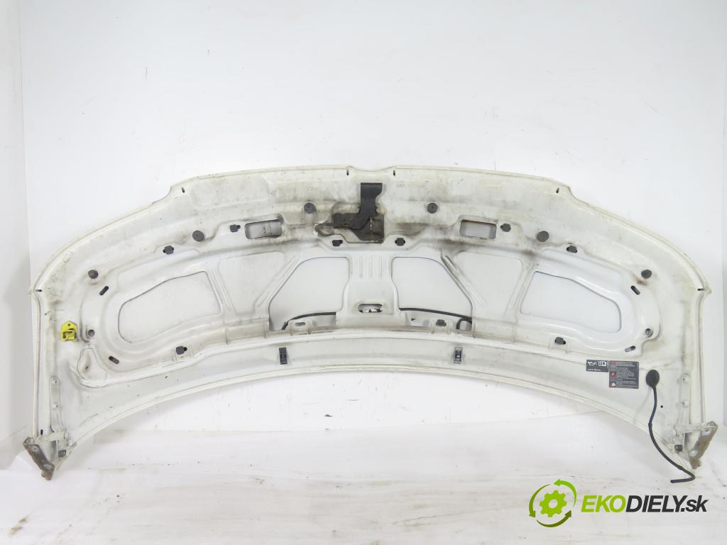 VW TRANSPORTER V Skrzynia (7HA, 7HH, 7EA, 7EH) FURGON 2007 75,00 1.9 TDI - BRS 1896,00 Kapota  (Kapota)