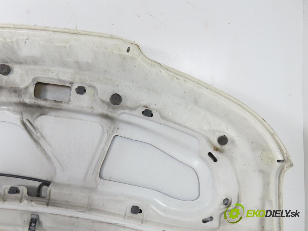 VW TRANSPORTER V Skrzynia (7HA, 7HH, 7EA, 7EH) FURGON 2007 75,00 1.9 TDI - BRS 1896,00 Kapota  (Kapota)