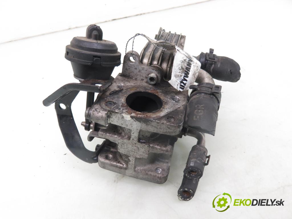 VW TOURAN (1T1, 1T2) MINIVAN 2006 77,00 1.9 TDI PD 105 1896,00 chladič spalín 038131513D ; 1723493