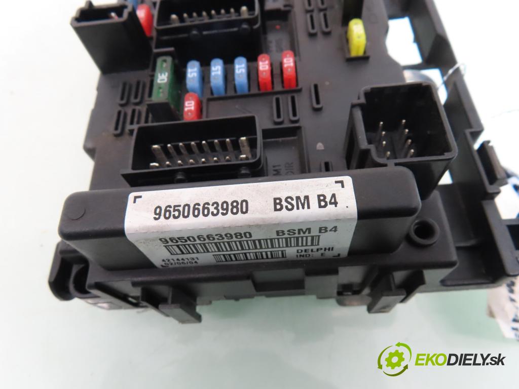 PEUGEOT 206 liftback (2A/C) HB 2004 440,00 1.1 i - HFX (TU1JP) 1124,00 MODUL BSM 9650663980