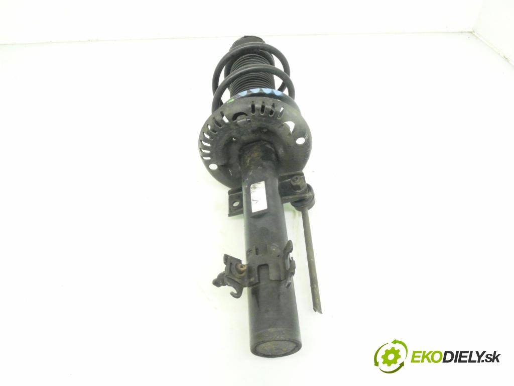 SEAT IBIZA IV (6J5, 6P1) HB 2009 51,00 1.2 - CGPA 1198,00 MCPERSON PP 