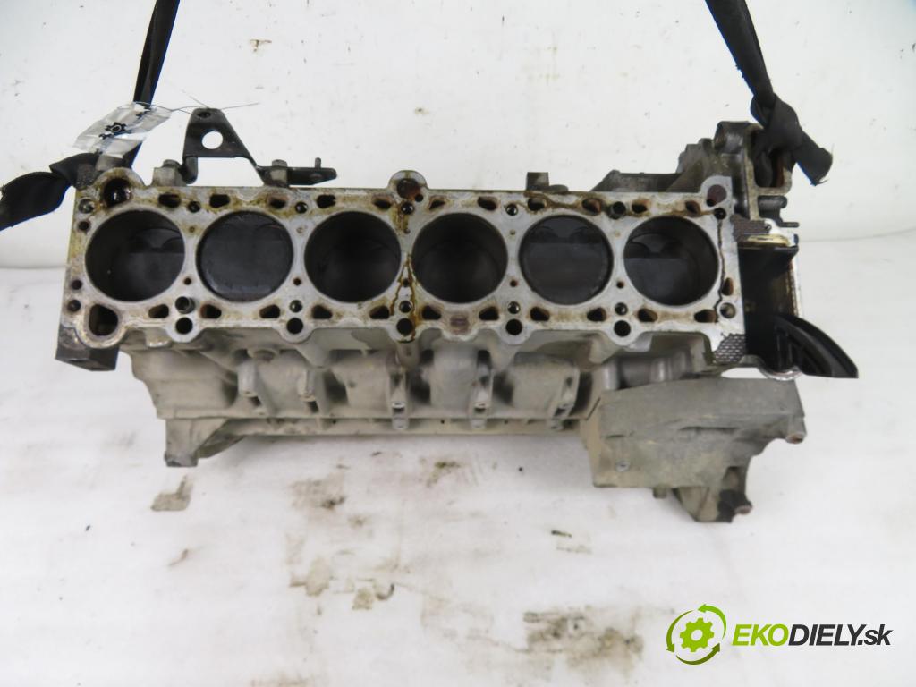 BMW 5 (E39) SEDAN 1996 100,00 520 i 136 - M52 B20 (206S3) 1991,00 blok Motor 1748450 (Blok motora)