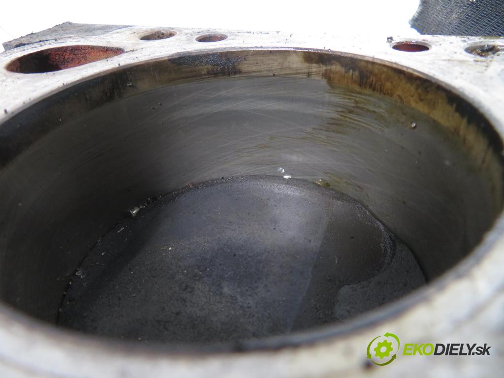 BMW 5 (E39) SEDAN 1996 100,00 520 i 136 - M52 B20 (206S3) 1991,00 blok Motor 1748450 (Blok motora)