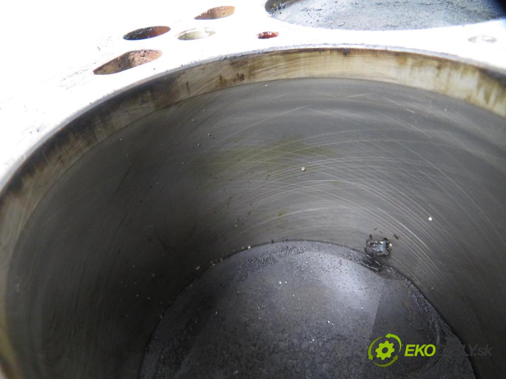 BMW 5 (E39) SEDAN 1996 100,00 520 i 136 - M52 B20 (206S3) 1991,00 blok Motor 1748450 (Blok motora)