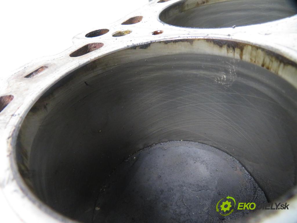 BMW 5 (E39) SEDAN 1996 100,00 520 i 136 - M52 B20 (206S3) 1991,00 blok Motor 1748450 (Blok motora)