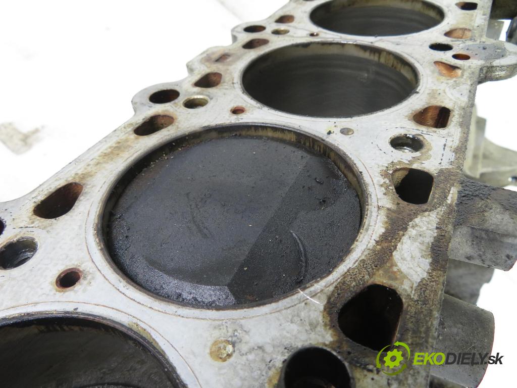 BMW 5 (E39) SEDAN 1996 100,00 520 i 136 - M52 B20 (206S3) 1991,00 blok Motor 1748450 (Blok motora)