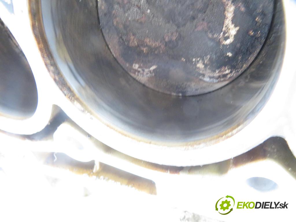 CITROEN XSARA PICASSO (N68) MINIVAN 2003 100,00 2.0 16V - RFN (EW10J4) 1997,00 blok Motor RFN (Blok motora)