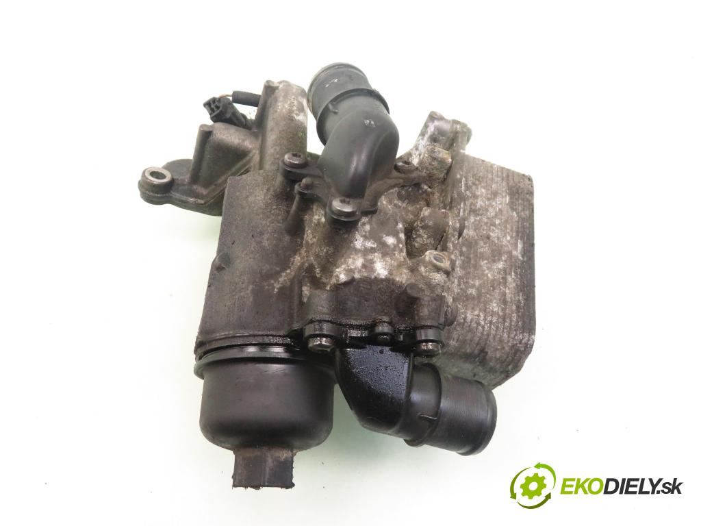 RENAULT ESPACE IV (JK0/1_) MINIVAN 2006 96,00 2.0 dCi 131 - M9R 760 1995,00 Obal filtra oleja 8200781898 (Obaly filtrov oleja)