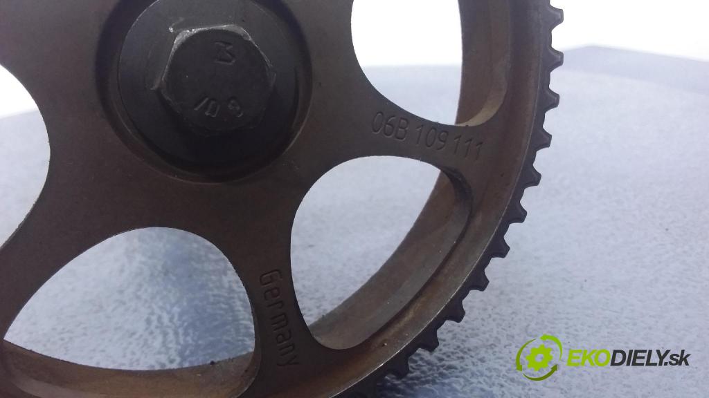 Audi A4 2004 Valček: Načasovanie: 06B109111