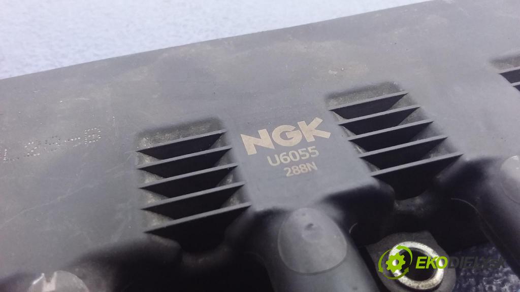 Fiat Punto 2008 cievka Zapaľovanie: NGK U6055