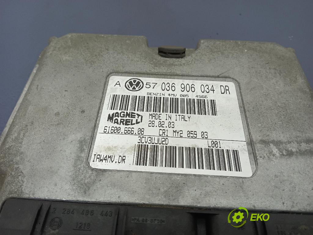 Volkswagen Bora 2003 řídící jednotka Motor: 036906034DR