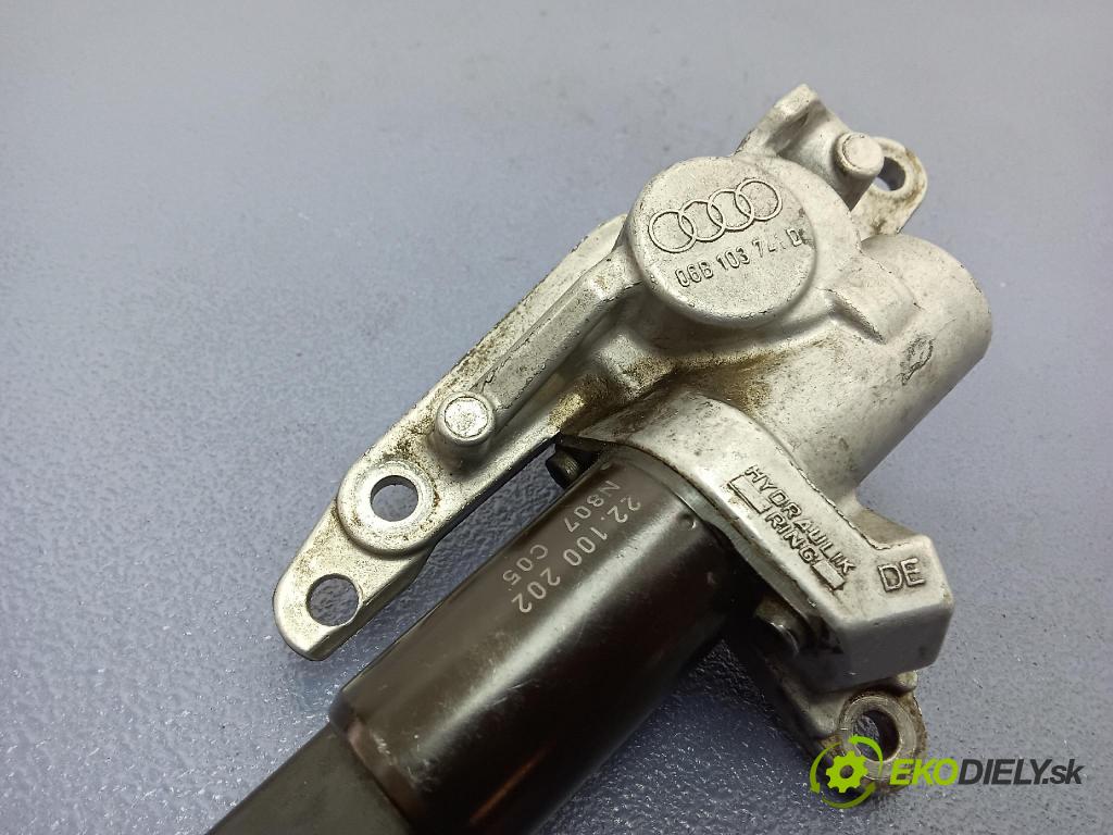 Audi A4 2001 Napínač: Načasovanie: 06B103741D